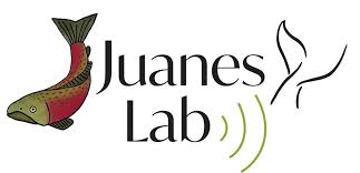 _images/juanes_logo.jpg